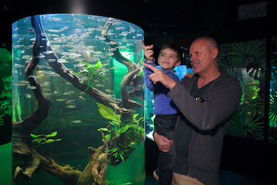 Gardaland SEA LIFE Aquarium_festa del papà