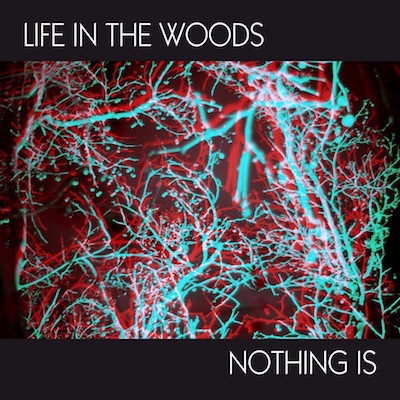 Life in the Woods_cover