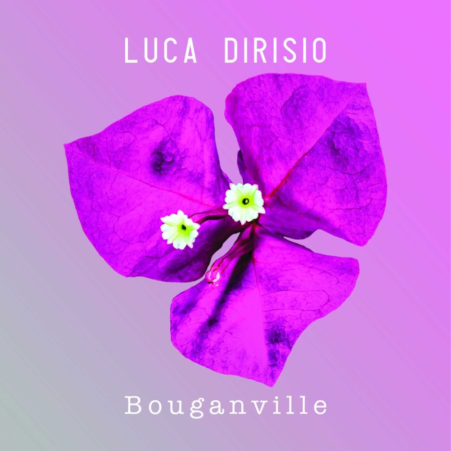 Luca Dirisio_bouganville_cover