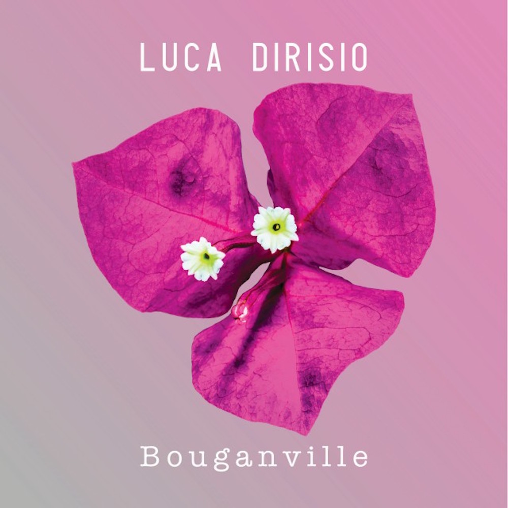 Luca-Dirisio-Bouganville
