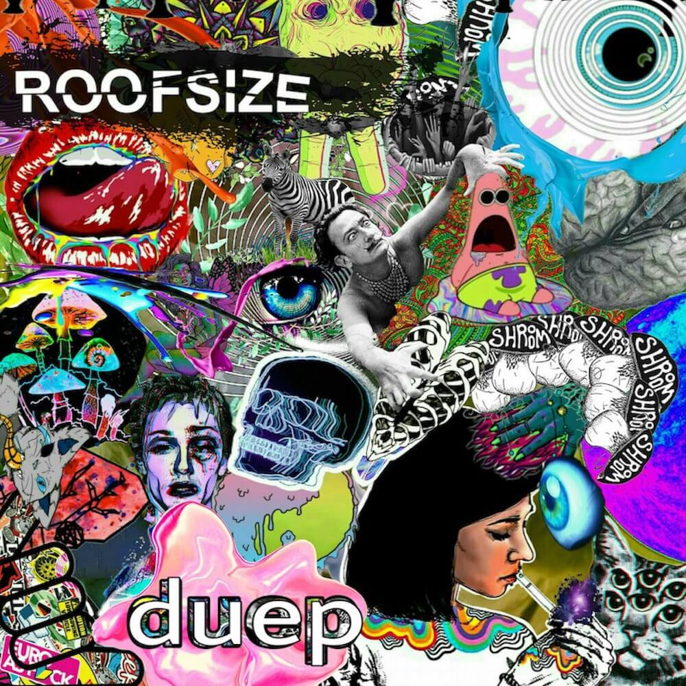 Roofsize-Duep-cover