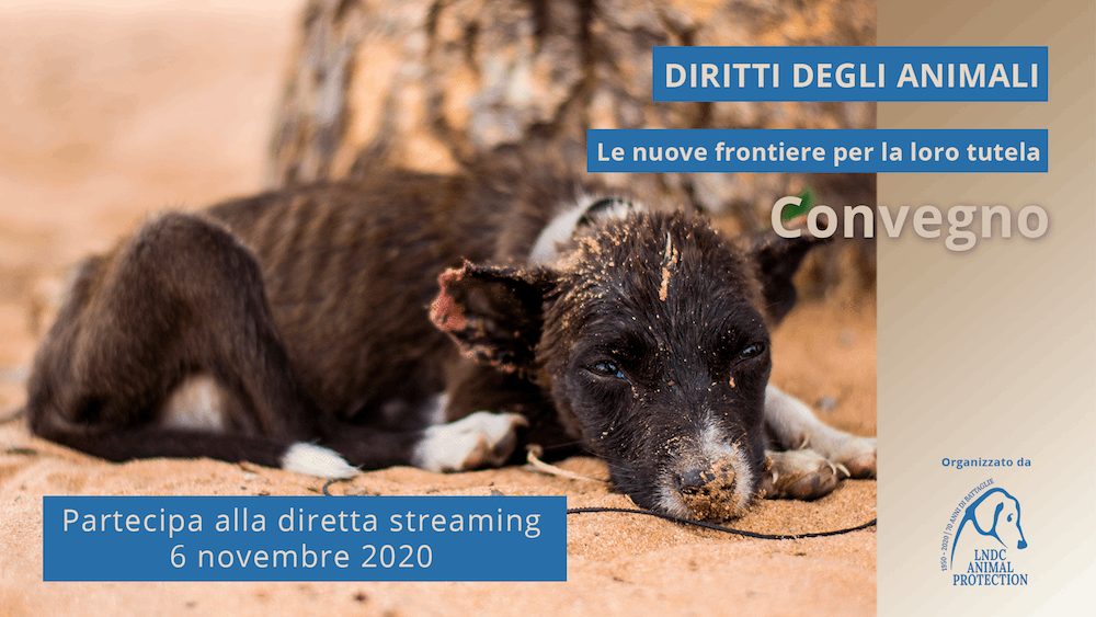 LNDC-Convegno-Diritti-animali-2020