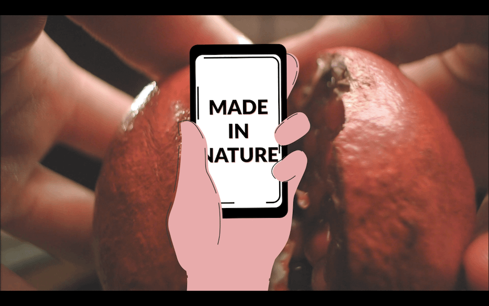 Made-in-Nature