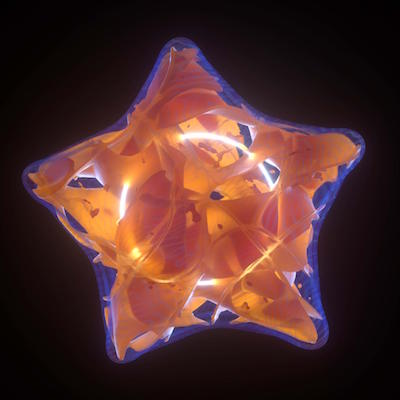 Rewild-Prologue-Diatoms-in-the-Multiverse-Stella
