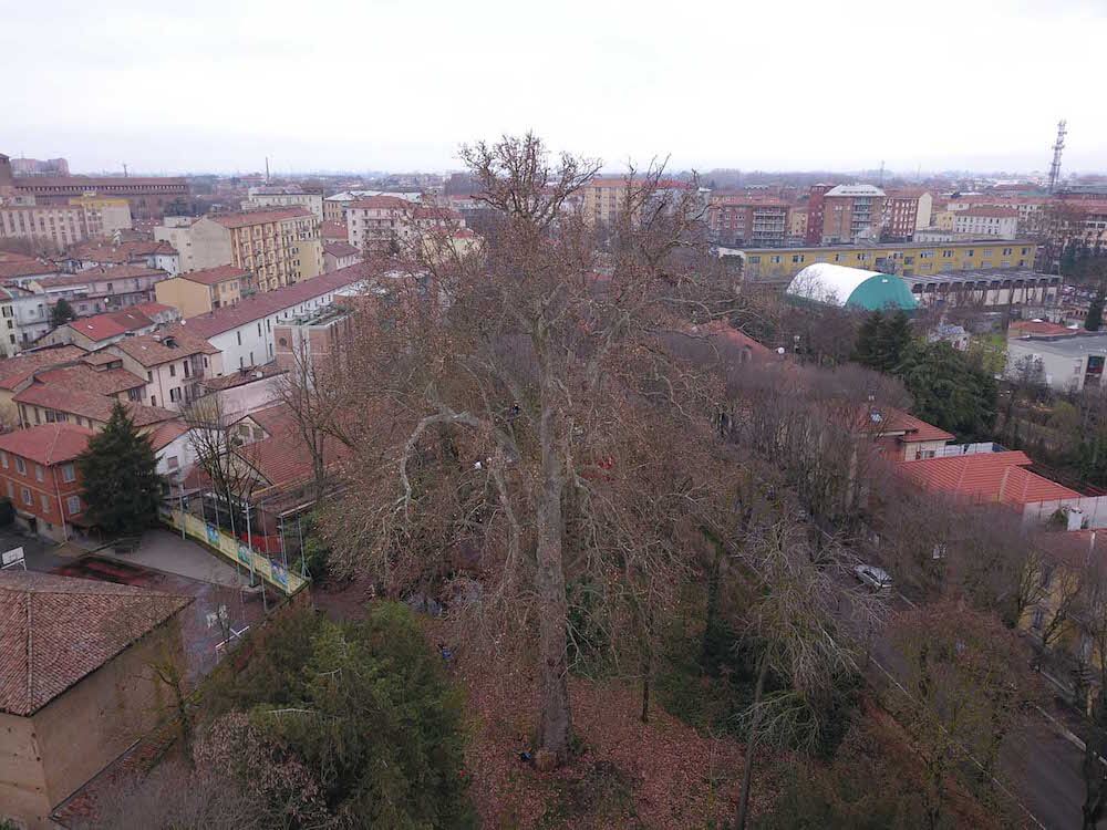 Orto-Botanico-Pavia