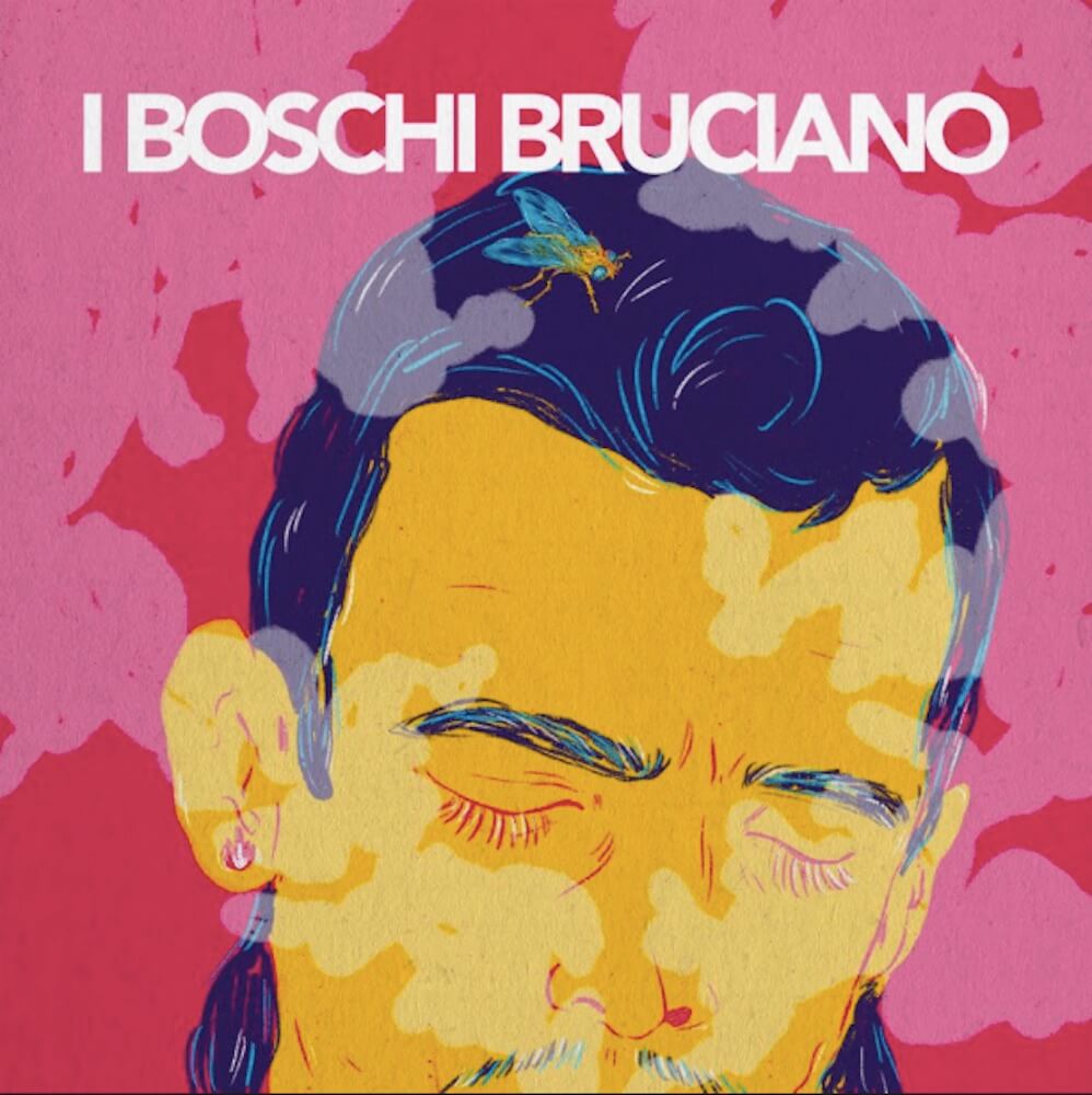 I-Boschi-Bruciano-Cover