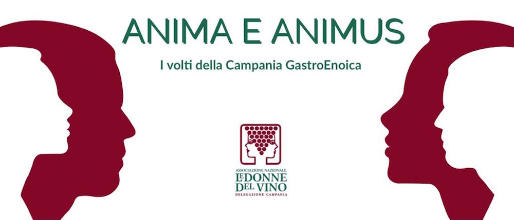 Anima-e-Animus-logo
