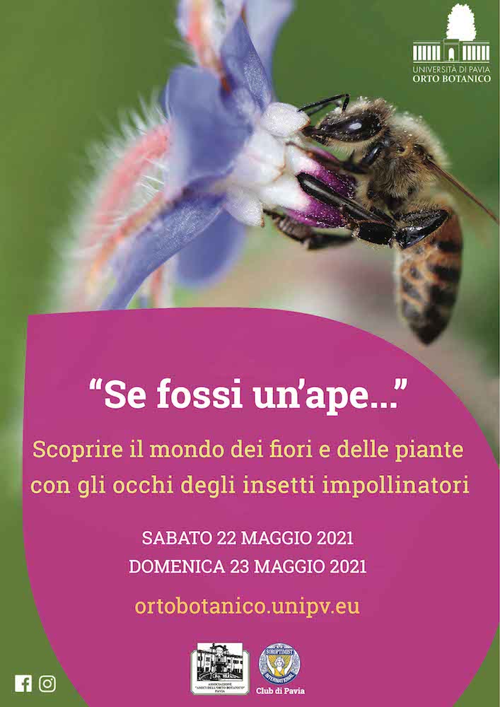 Orto-Botanico-Pavia-api