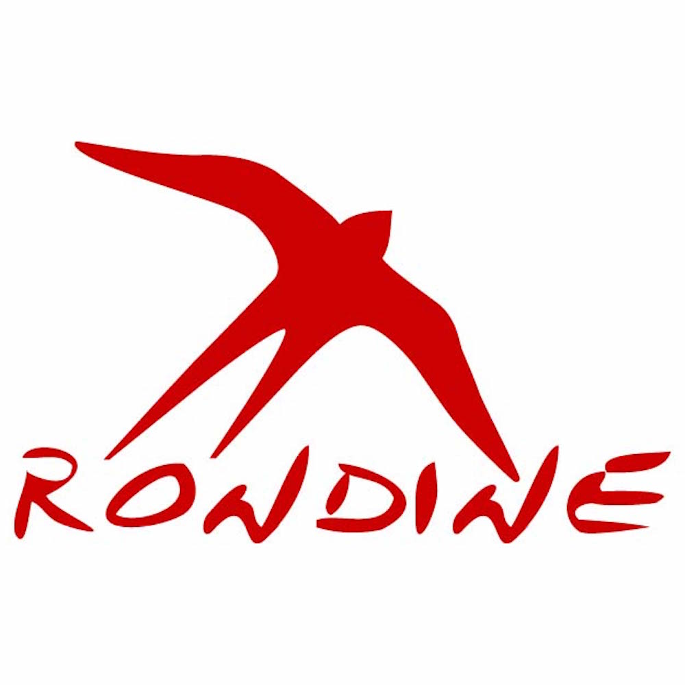 PdB-Rondine-Progetto