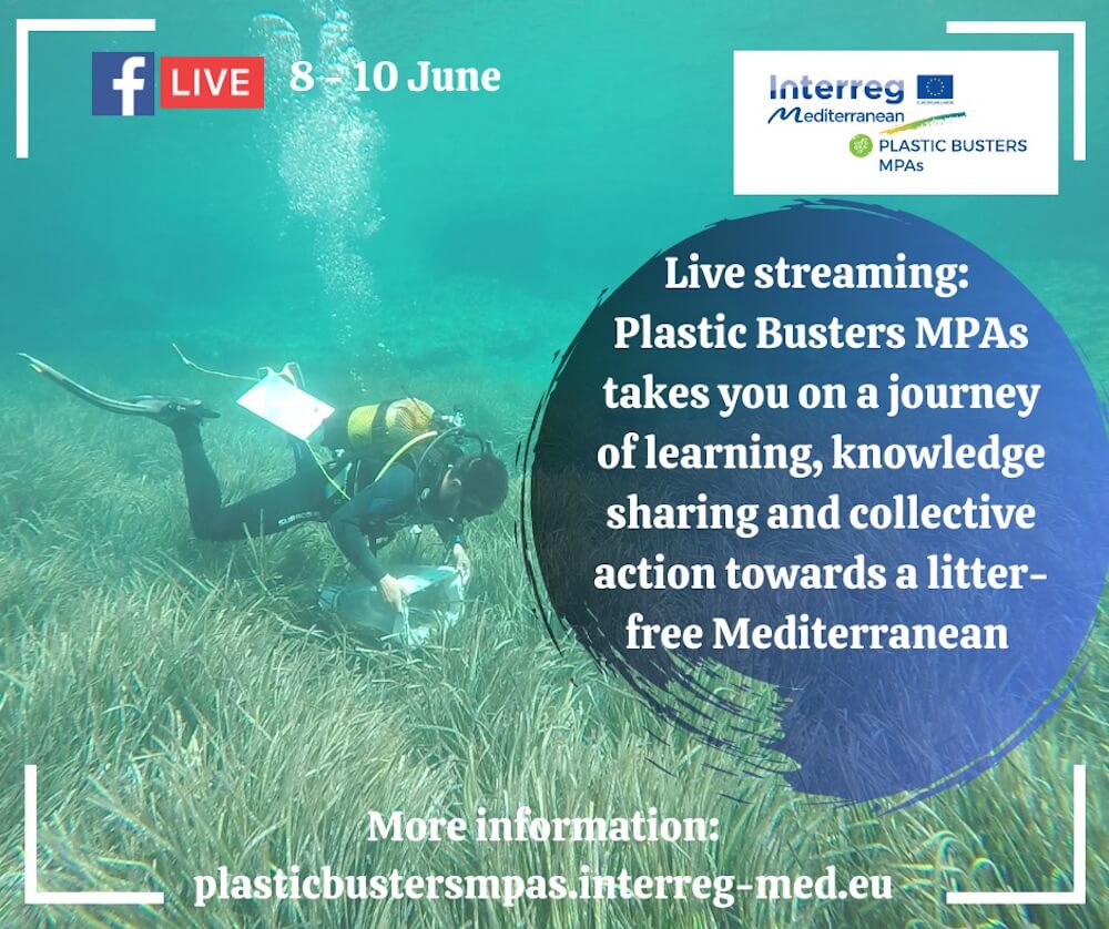 Dal mare al laboratorio, le attività del progetto Plastic Busters MPAs per il contrasto dei rifiuti marini trasmesse in live streaming