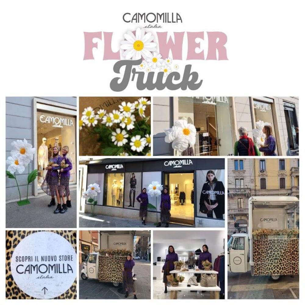 Camomilla-flower-truck