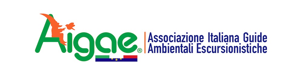 AIGAE-logo