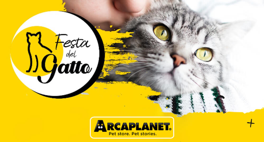 Arcaplanet-Fetsa-del-gatto