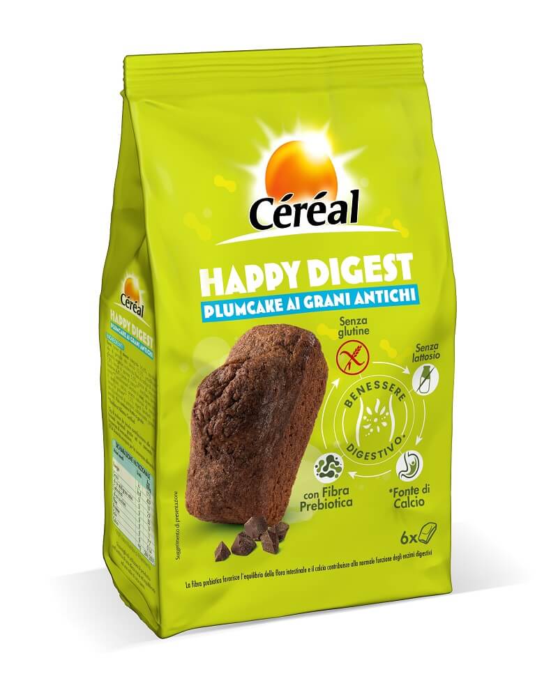 Happy-Digest-Céréa-Plumcake