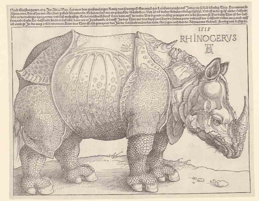 MASI-Lugano-rihinocerus(1)