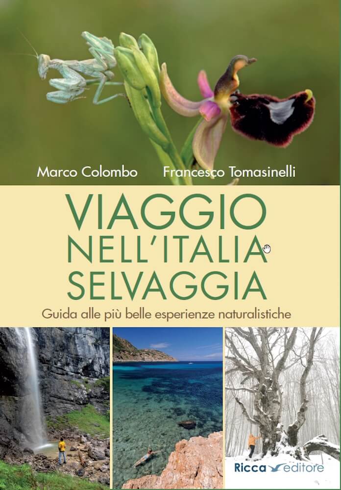 Viaggio-Italia-selvaggia-cover