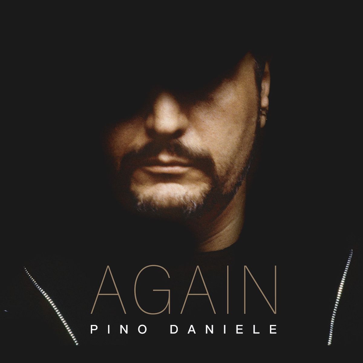 Pino Daniele - Again